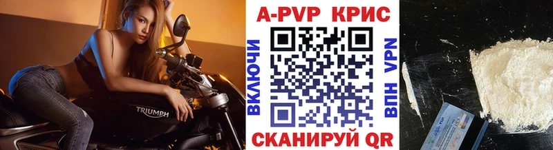 A PVP СК КРИС Енисейск
