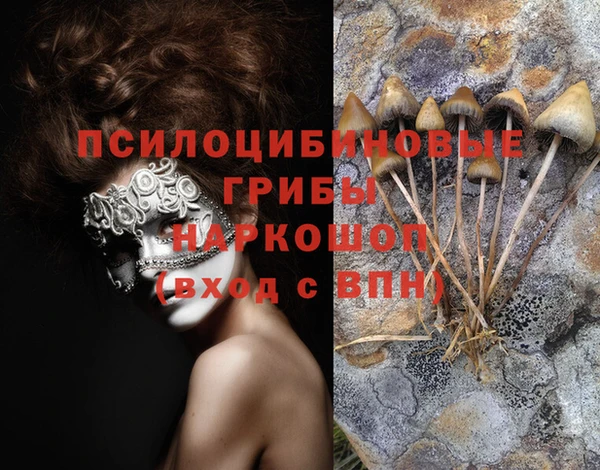 MESCALINE Горняк