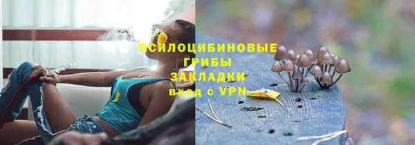 тгк Горно-Алтайск