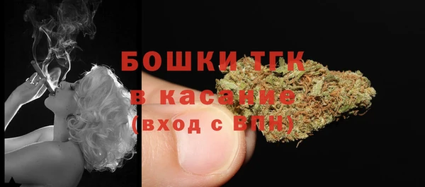 тгк Горно-Алтайск