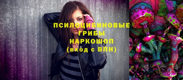тгк Горно-Алтайск