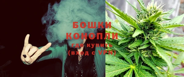 тгк Горно-Алтайск