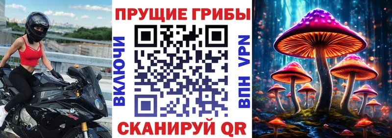 цена наркотик  Енисейск  Галлюциногенные грибы GOLDEN TEACHER 